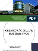 Aula 2 - Organização Celular Dos Seres Vivos