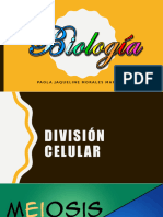 División Celular Presentación