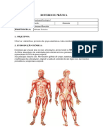 Sistema Muscular Pág 7 PDF