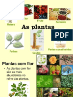 Constituição Das Plantas