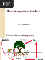 Materia Orgã¡nica