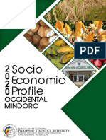 2020 Socio Economic Profile - Occidental Mindoro