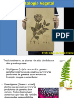 Histologia Vegetal