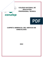 Carpeta Gerencial Ginecologia......