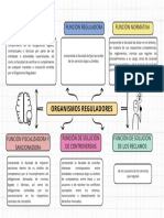 Organizador Grafico Mapa Mental Doodle Multicolor