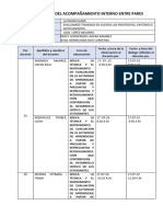 Planificación Del Acompañamiento Interno Entre Pares