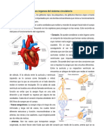 Guia 1 BIO. HUMANA II P.