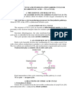 Citric Acid Cycle and Its Regulation