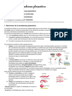 TEMA 5 Biología