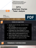 Seminario Iota Terminos