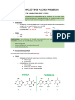 Tema 6 Los Ácidos Nucleicos