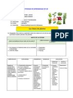 Sesion Cyt Tiposdeplantas