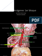 Repaso Imágenes 1er Bloque-1