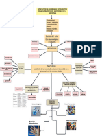 Mapa Conceptual