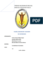 Fusion, Absorcion y Escision de Sociedades - Informe