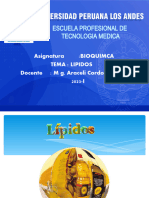 TEORIA Lipidos