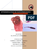 Epidemiologia Terminado