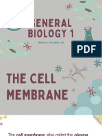 The Cell Membrane