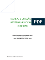 Manejo e Criação de Bezeras e Novilhas Leiteiras