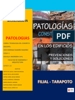 Tecnologia Del Concreto - Patologias