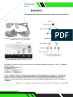 BIO - COLUN - IF - Divisão Celular e Respiração-K1a9
