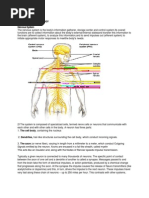 Anatomy and Physiology