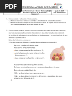 PDF Documento