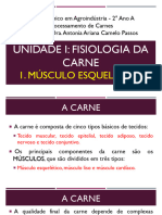 Processamento de Carnes - UNIDADE I - Fisiologia Da Carne - 1. Músculo Esquelético - Profa. Dra. Ariana Passos