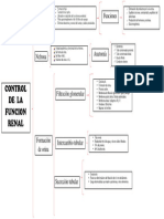 Control Renal