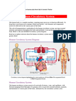 B SC 4 Sem BiotechHuman Phy Heart by DR Santosh Thakur