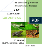 Los Anfibios