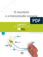 Ctic9 L2 O Neurónio e A Transmissão Nervosa