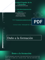 Daño A La Formación