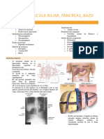 Clase 1 Higado Bazo Pancreas