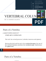 Vertebral Column