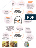 Esquema Desarrollo Cognoscitivo Edad Adulta