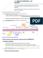 Práctica Tema 3. Potencial de Acción 2019-20