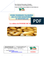 Pomme de Terre