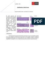 Taller Biologia Tejido Muscular y Nervioso