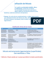 Clasificación de Micosis 2023