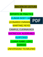 Comprobación de Lectura 3