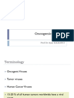 Oncogenic Viruses