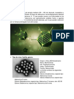 Adenovirus