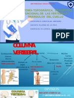 Columna Vertebral