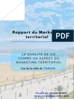 Rapport Marketing Territorial