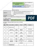 9 Plan de Auditoria - Daniela Mamani Pallani