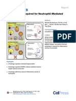 Authophagy - Neutrophil - 2015 - Cell Reports