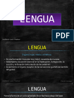 Lengua Sistema Digestivo Unlar