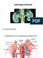 Fisiopatologia Adrenal HIPA 145 (CTF 2023)