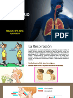 Sistema Respiratorio